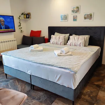 Kala * نوفي ساد